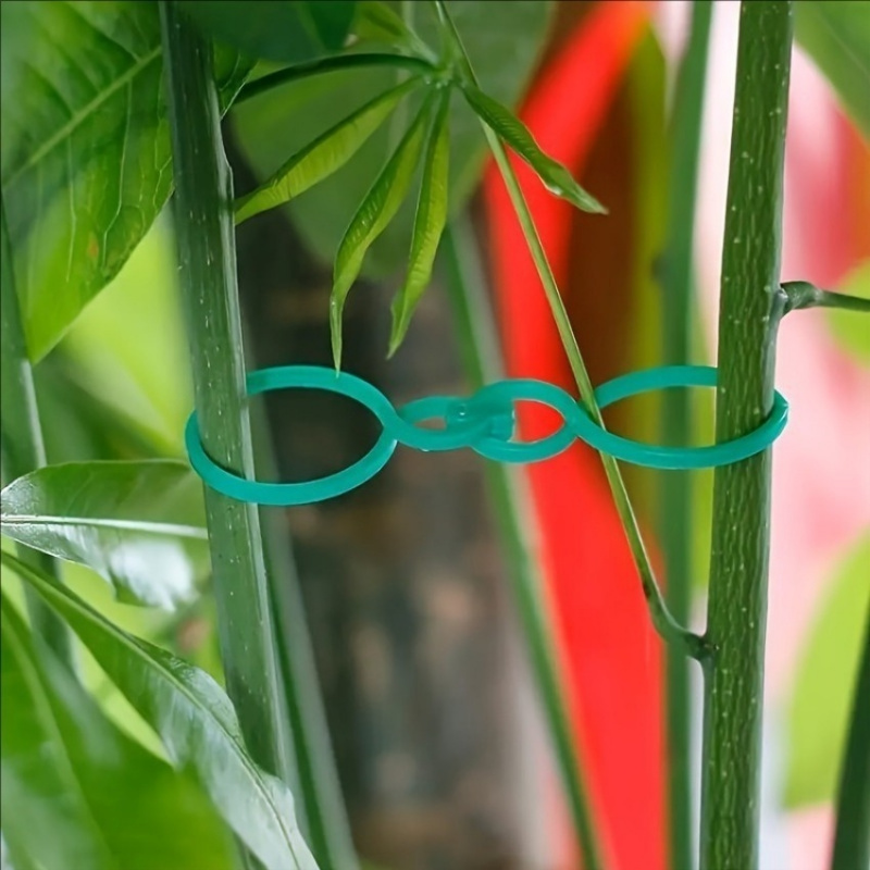 125Pcs Garden Plant Support Ki - Vine Climbing Plastic 리뷰 및 가격