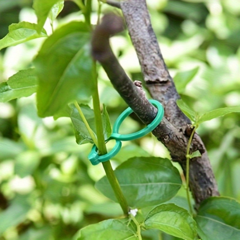125Pcs Garden Plant Support Ki - Vine Climbing Plastic 리뷰 및 가격