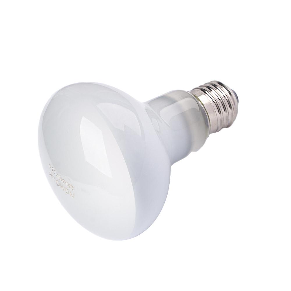 Lizard Heater Temperature Cont - Basking Bulb Halogen 리뷰 및 가격