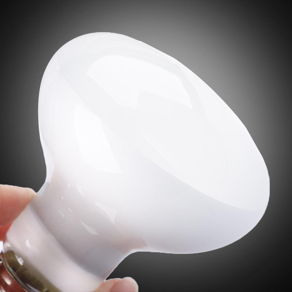 Lizard Heater Temperature Cont - Basking Bulb Halogen 리뷰 및 가격