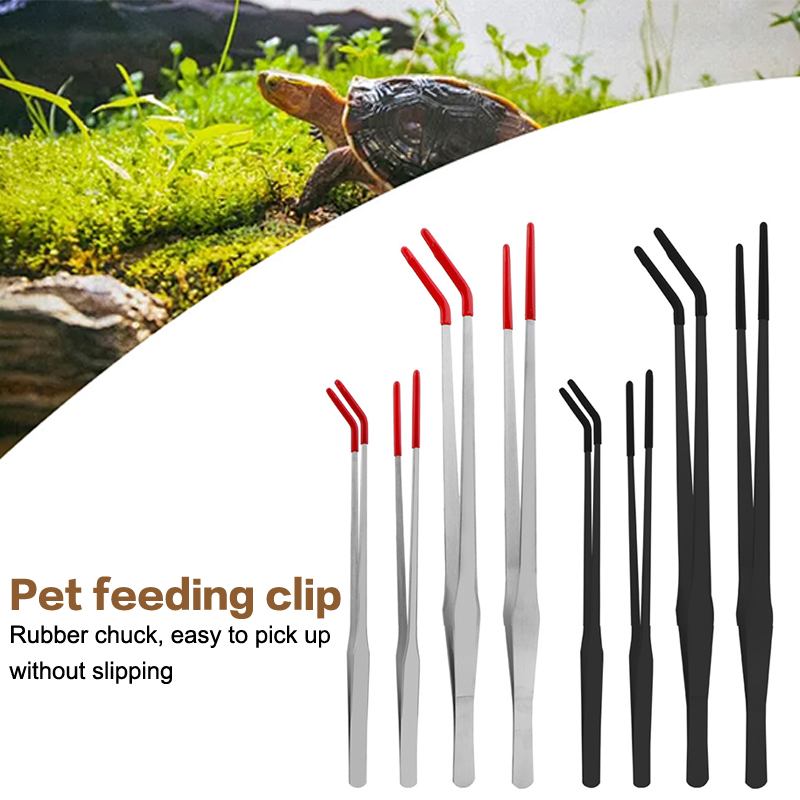 Expert Aquarium Tools: Stainle - Feeding Tong Stainless 리뷰 및 가격