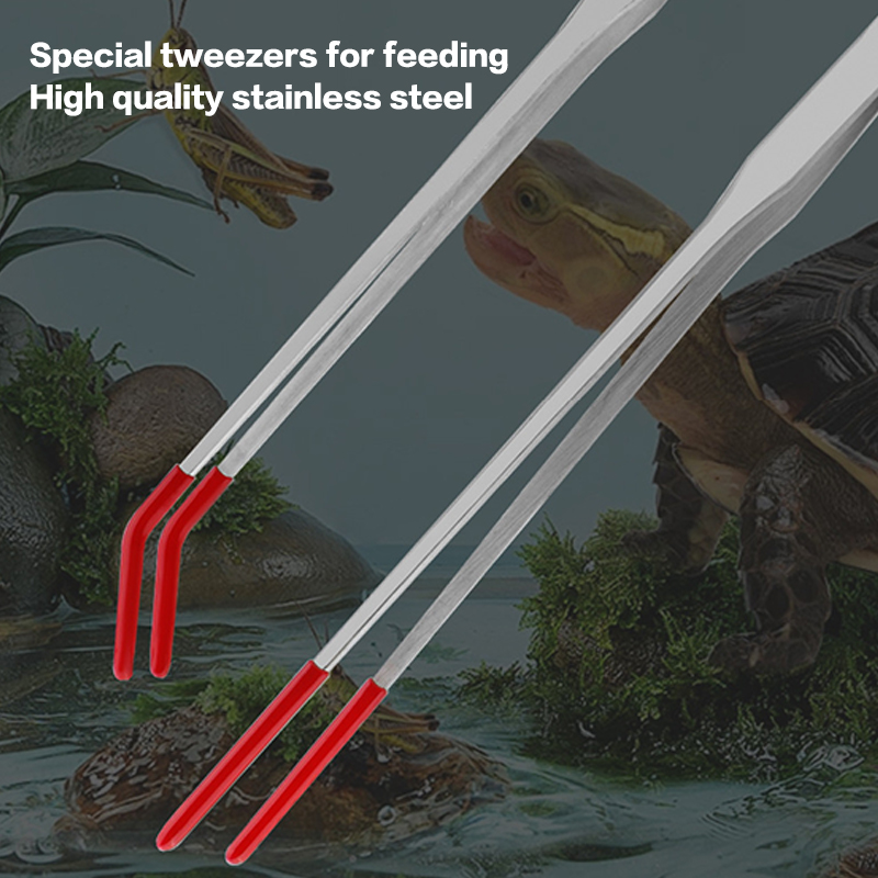 Expert Aquarium Tools: Stainle - Feeding Tong Stainless 리뷰 및 가격