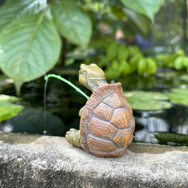 Turtle fishing fish tank aquar - Water Dish Reptile 리뷰 및 가격
