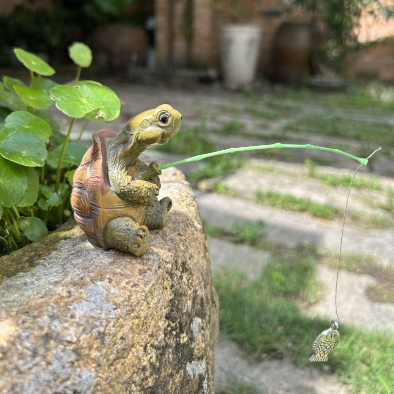 Turtle fishing fish tank aquar - Water Dish Reptile 리뷰 및 가격