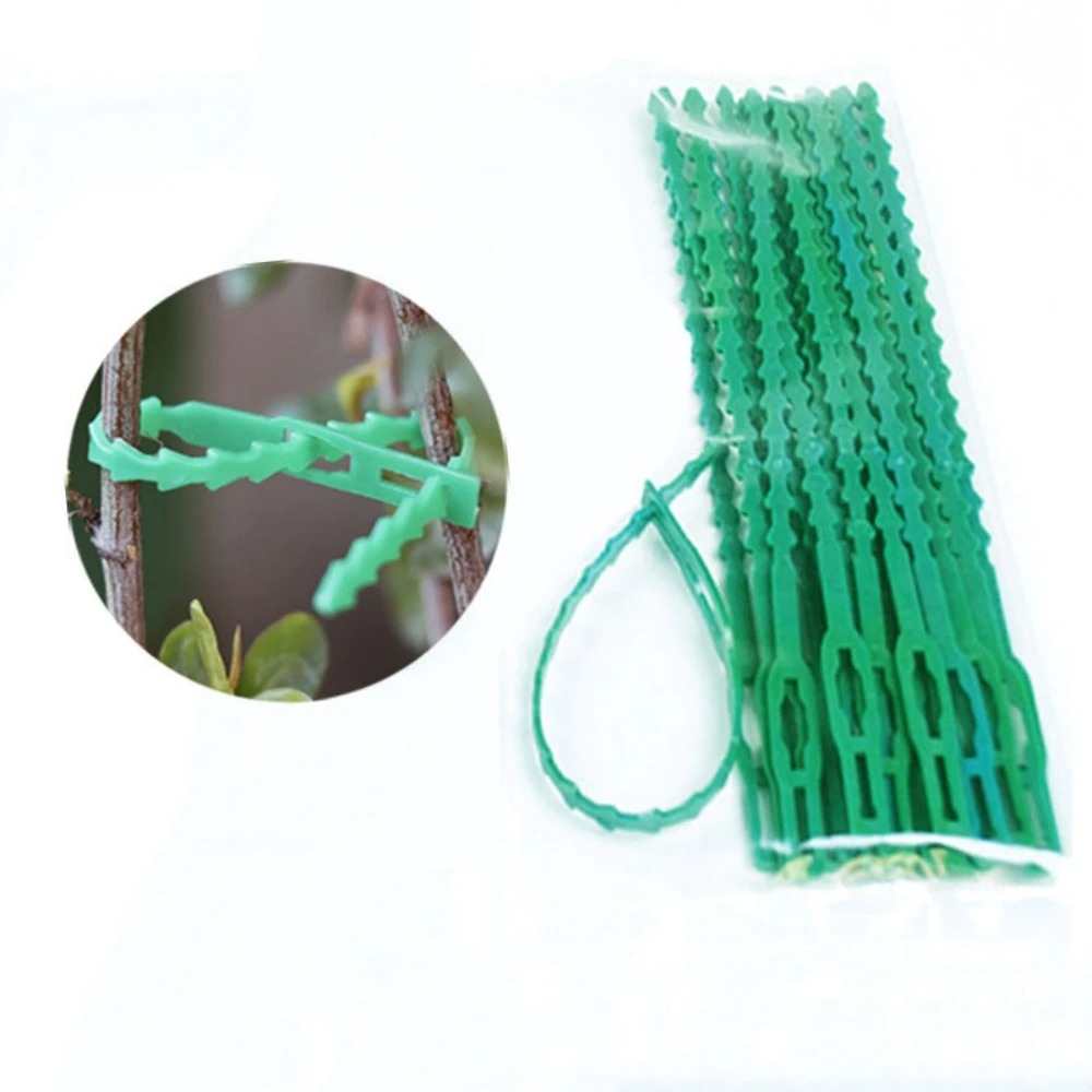 50pcs Adjustable Plastic Plant - Vine Climbing Plastic 리뷰 및 가격
