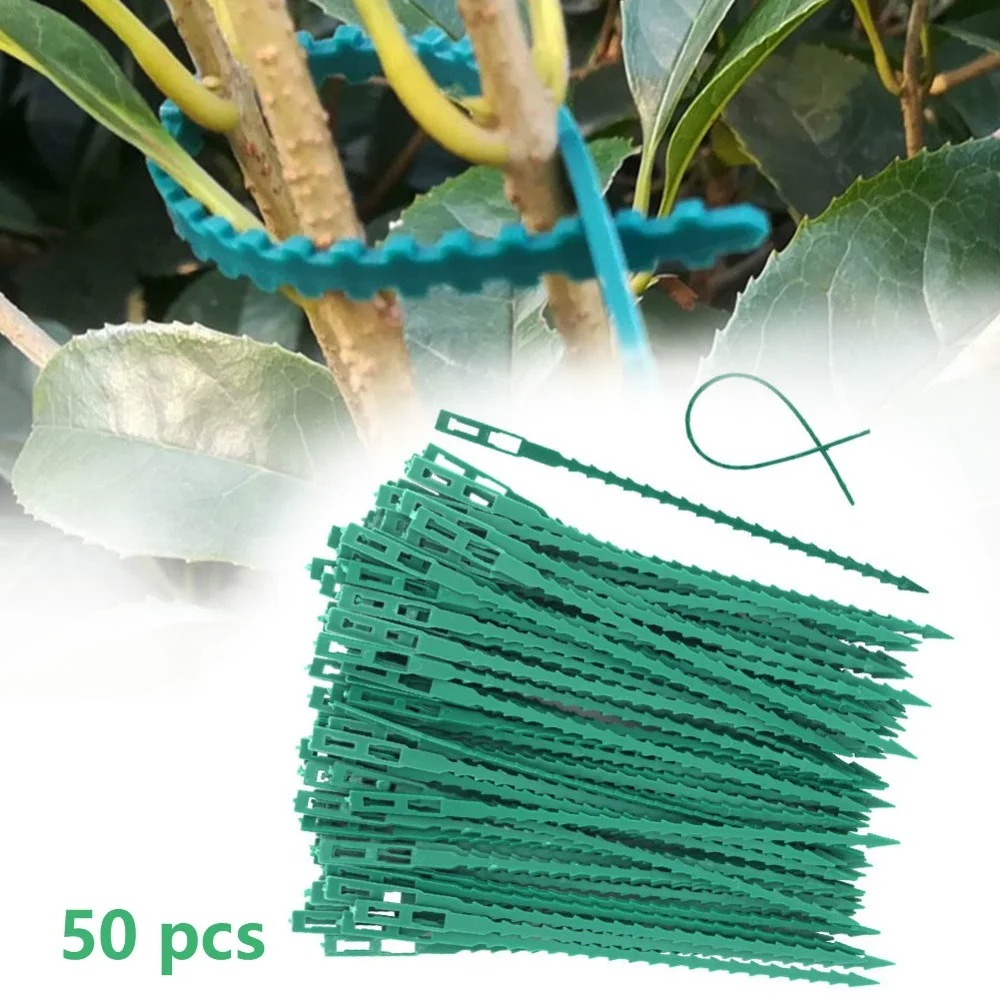 50pcs Adjustable Plastic Plant - Vine Climbing Plastic 리뷰 및 가격