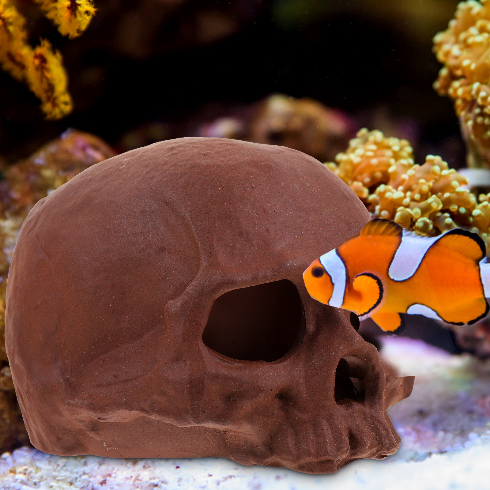 Ceramic Fish Tank Decoration S - Hide Cave Ceramic 리뷰 및 가격