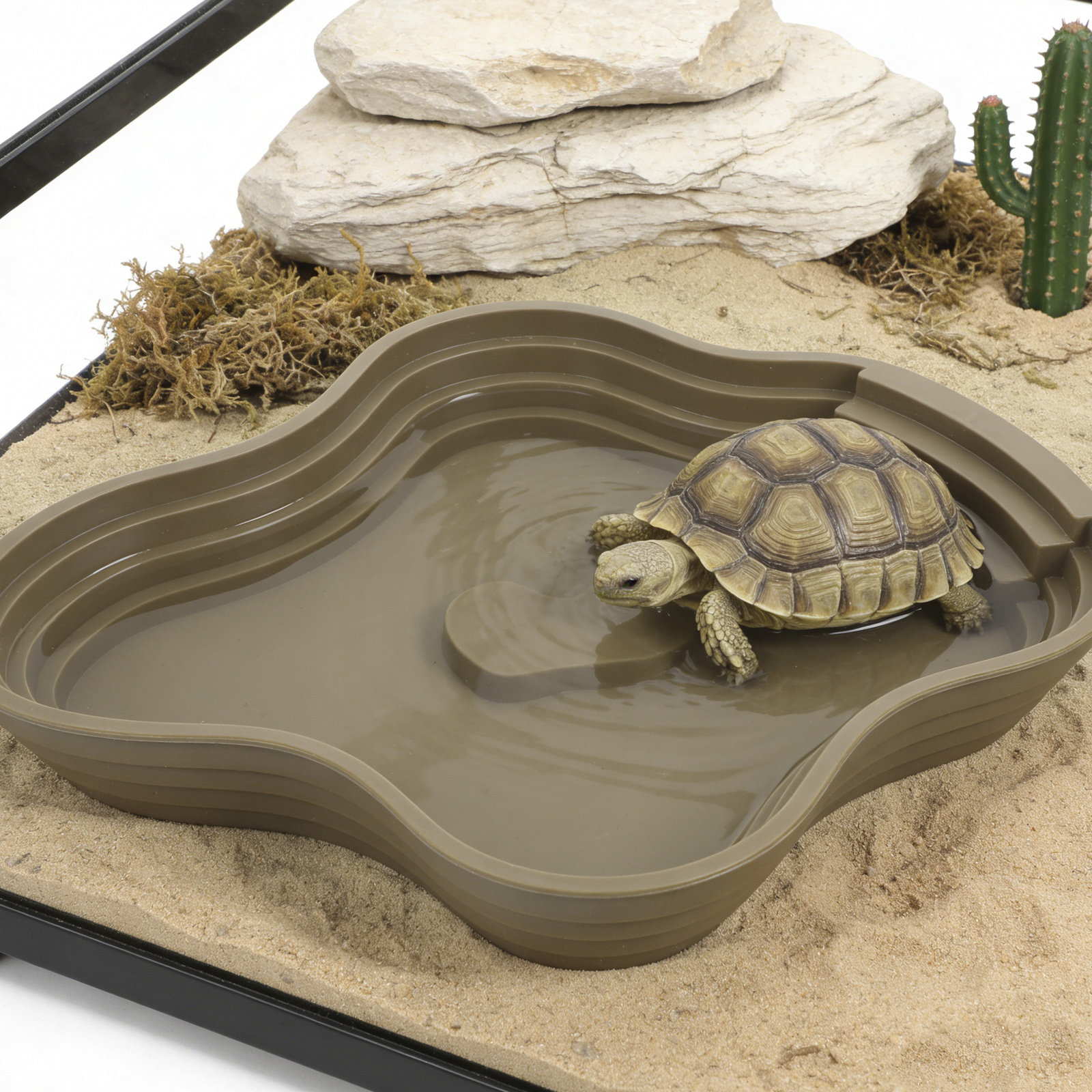 Large Turtle Reptile Bathing P - Water Dish Reptile 리뷰 및 가격