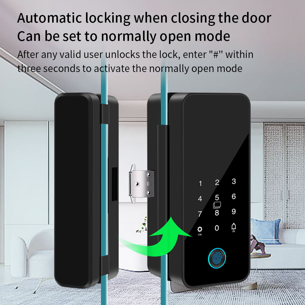 Tuya Smart Life Bluetooth Glas - Glass Door Hinge 리뷰 및 가격