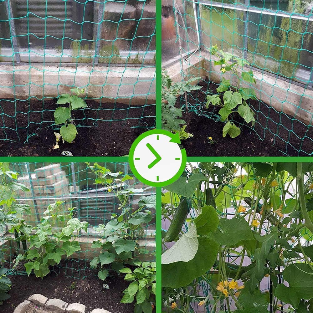 1pc Trellis Netting, Portable  - Vine Climbing Plastic 리뷰 및 가격