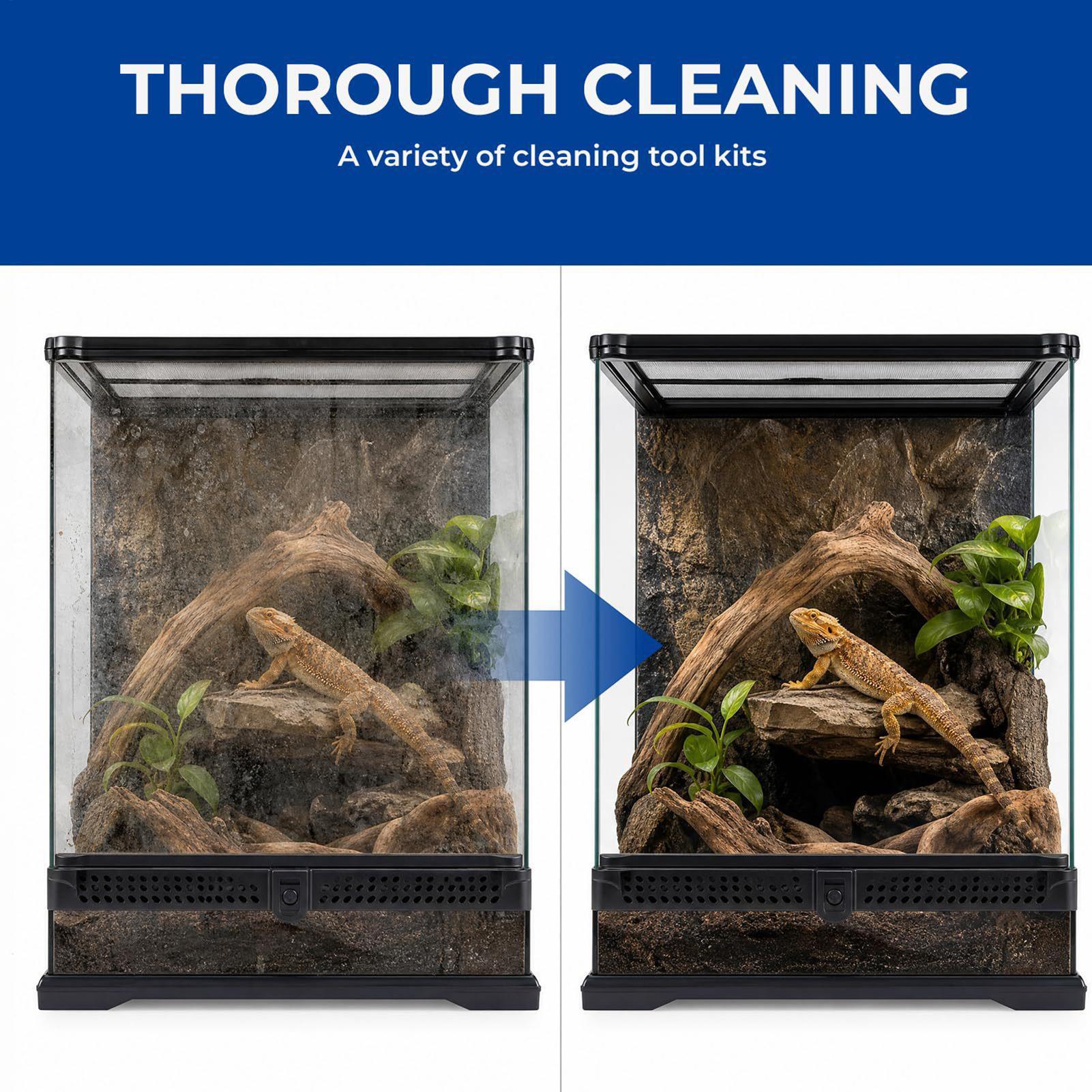 Bearded Dragon Tank Cleaning K - Feeding Tong Stainless 리뷰 및 가격