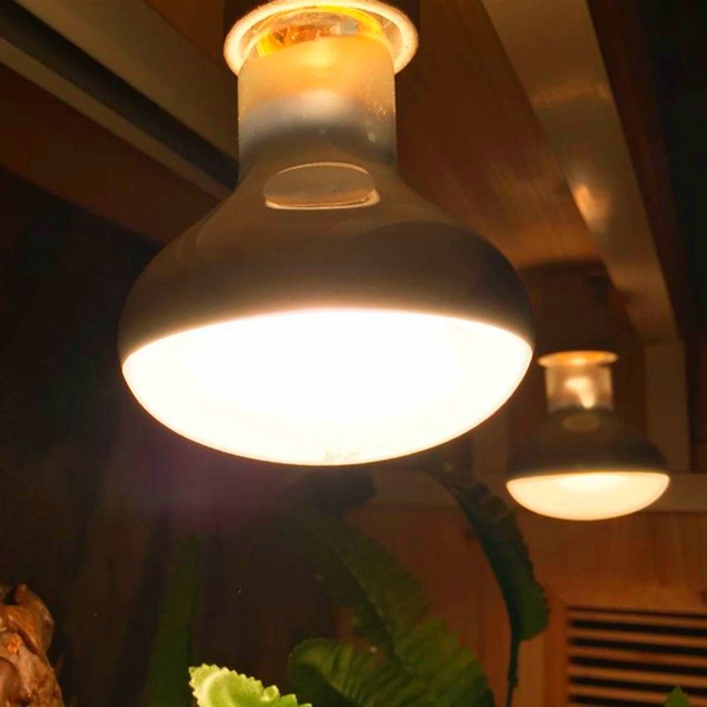 Turtle Heater Temperature Cont - Basking Bulb Halogen 리뷰 및 가격