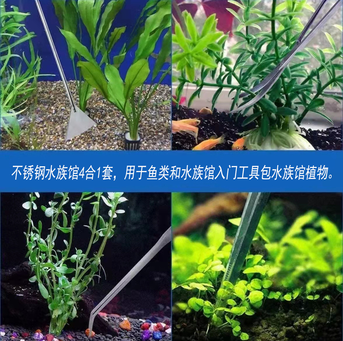 48cm Stainless Steel Aquarium  - Feeding Tong Stainless 리뷰 및 가격