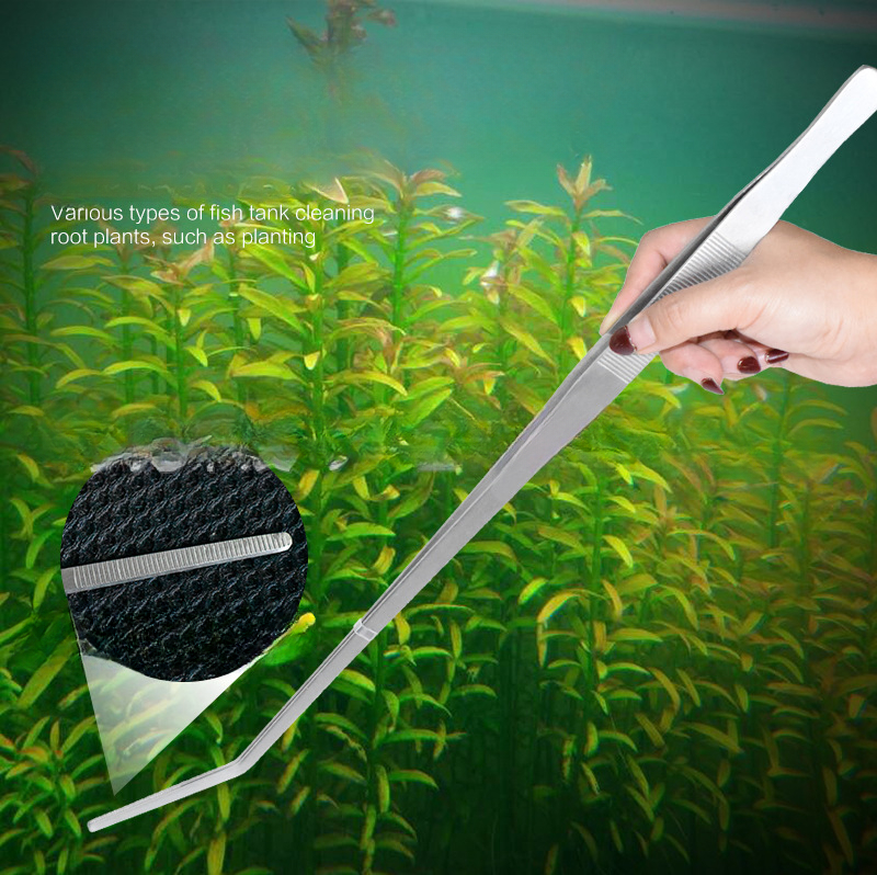 48cm Stainless Steel Aquarium  - Feeding Tong Stainless 리뷰 및 가격
