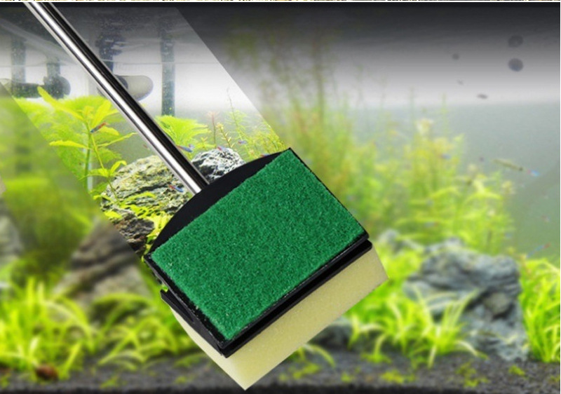 48cm Stainless Steel Aquarium  - Feeding Tong Stainless 리뷰 및 가격