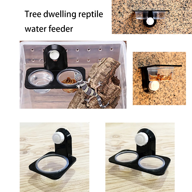 Reptile Tank Accessories Insec - Water Dish Reptile 리뷰 및 가격