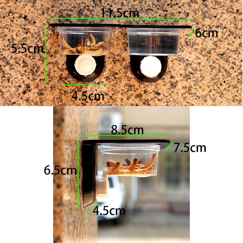 Reptile Tank Accessories Insec - Water Dish Reptile 리뷰 및 가격