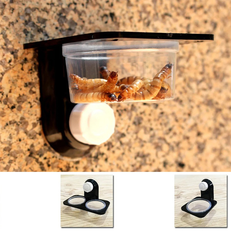 Reptile Tank Accessories Insec - Water Dish Reptile 리뷰 및 가격