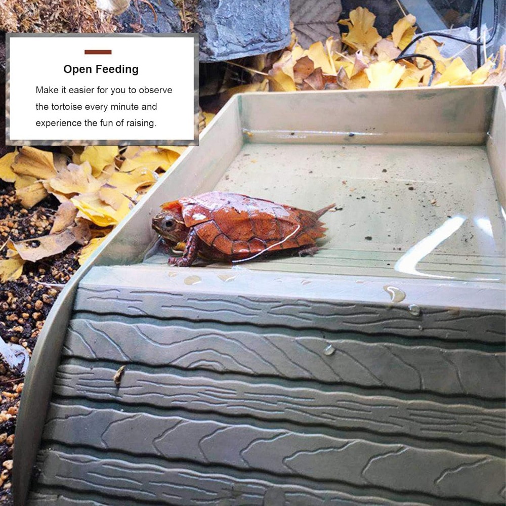 Turtle Bathing Pool Feeding Di - Water Dish Reptile 리뷰 및 가격