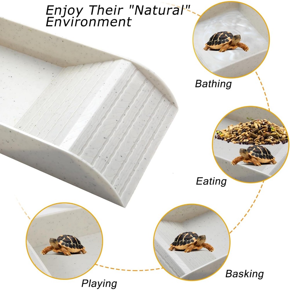 Turtle Bathing Pool Feeding Di - Water Dish Reptile 리뷰 및 가격