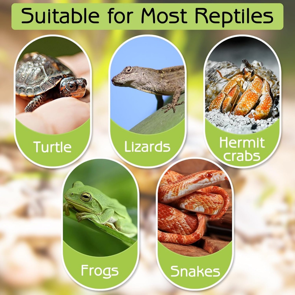 Turtle Bathing Pool Feeding Di - Water Dish Reptile 리뷰 및 가격