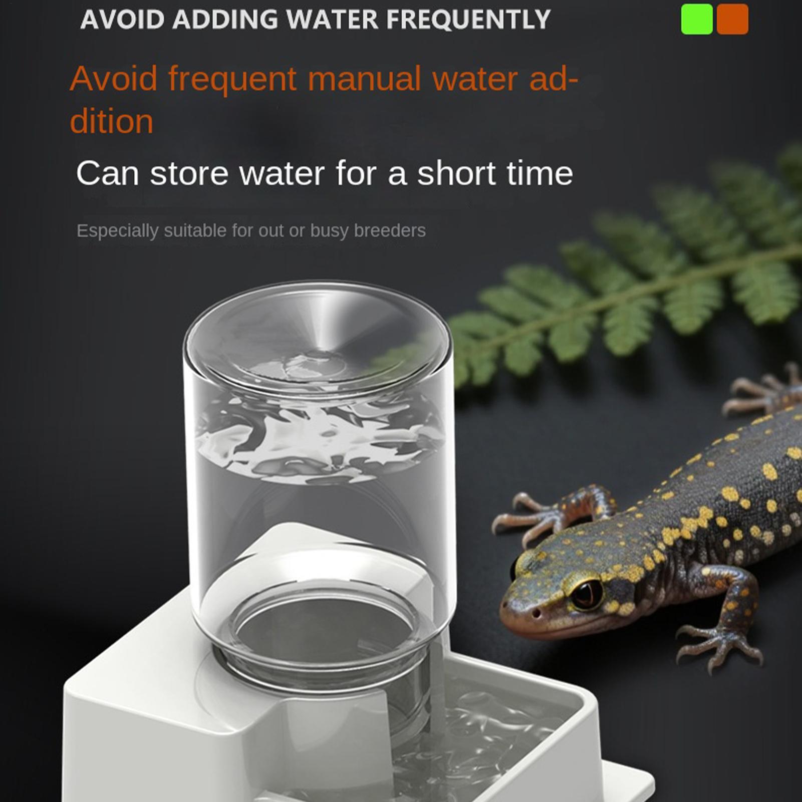 Bearded Dragon Water Fountain  - Water Dish Reptile 리뷰 및 가격