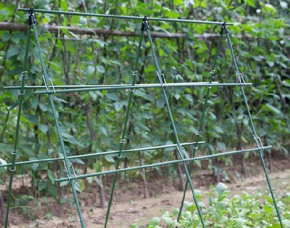 Diameter 8/11/16mm Plant Suppo - Vine Climbing Plastic 리뷰 및 가격