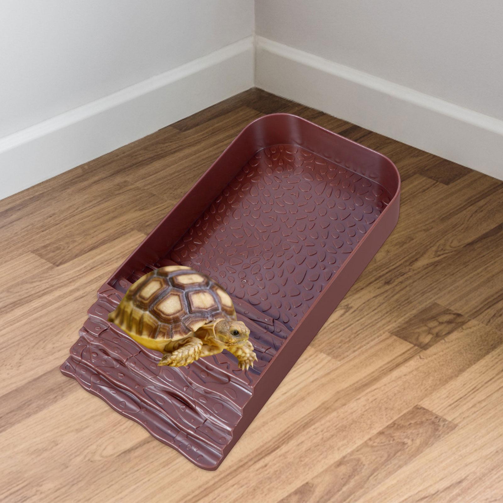 Reptile Water Bowl Accessories - Water Dish Reptile 리뷰 및 가격