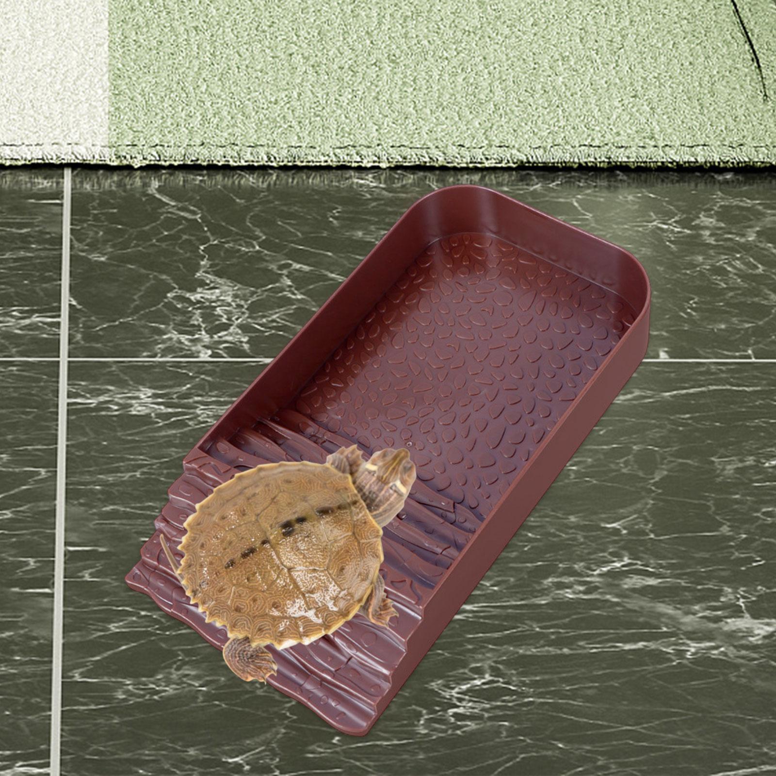 Reptile Water Bowl Accessories - Water Dish Reptile 리뷰 및 가격