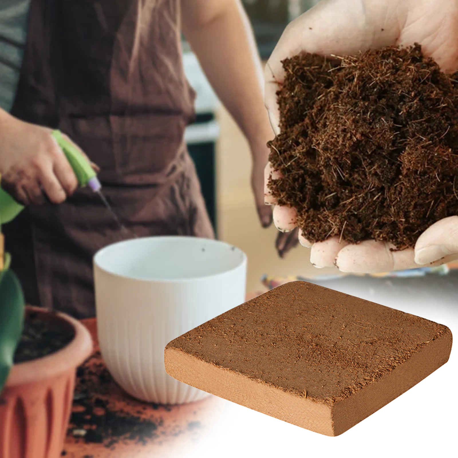 Soil Coconut Fibre Terrarium S - Substrate Coconut Fiber 리뷰 및 가격