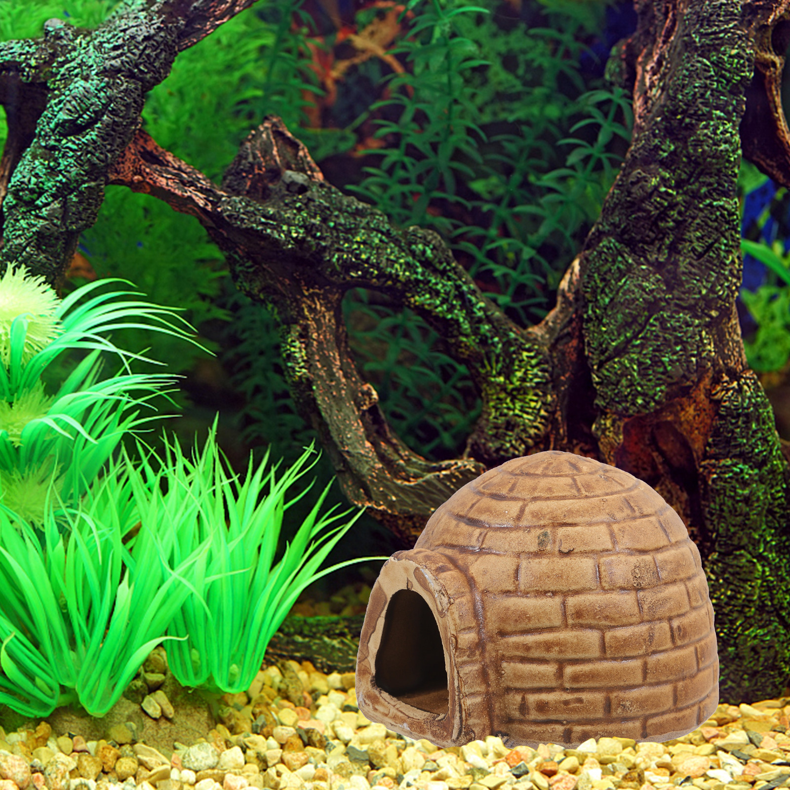 Ceramic Pleco Caves Aquarium F - Hide Cave Ceramic 리뷰 및 가격
